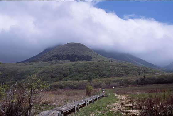 ���Ҍ��i���Ҍ��j���R�T���H