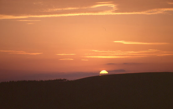 �z�e������̒��߁i�[�Ă��j