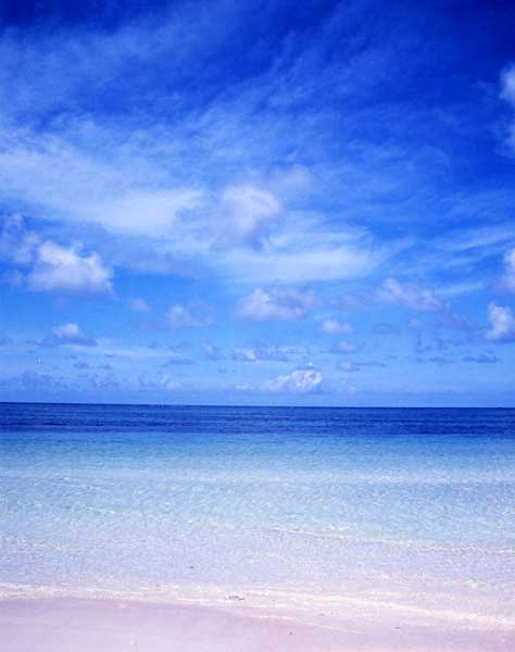 �͂Ă̕l�̃g�C��