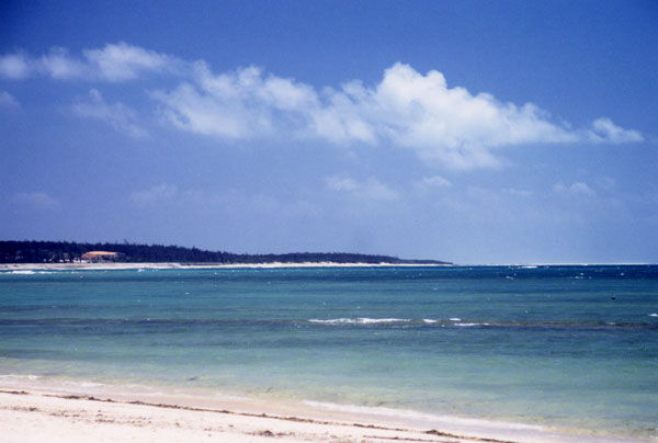 �C�[�t�r�[�`