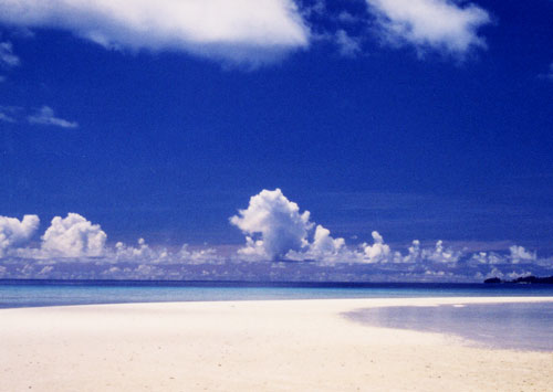 �����O�r�[�`