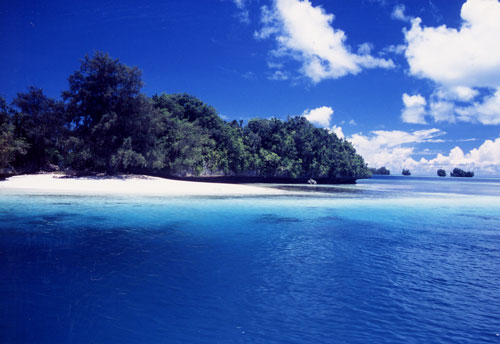 �p���I�̓�