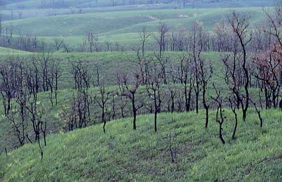 ���ː΂���̓W�]