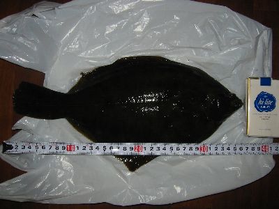 �J���C�߂����ǁ`