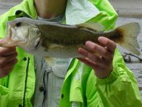 �ޗV���Q�b�g���܂���