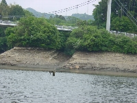 �Ζʂɓd�M�����E�E�E�������Ȃ��ł�