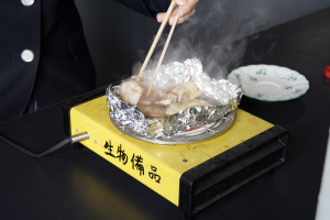 イカの解剖の様子