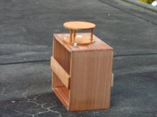 スギ花粉の観察