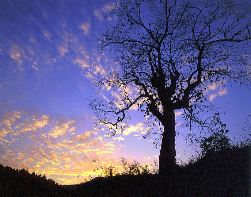 �[�Ă����Ă�