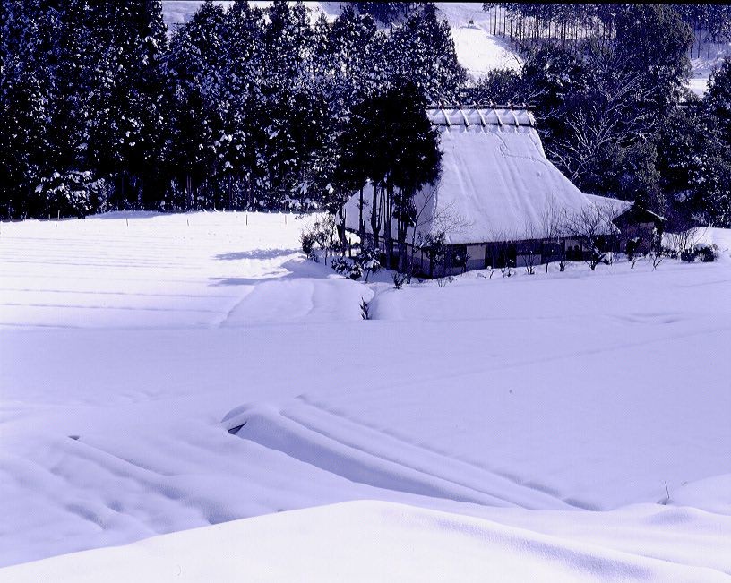 ���s�̖���