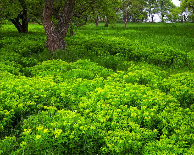 �̂��邵�炭