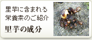 ̐
