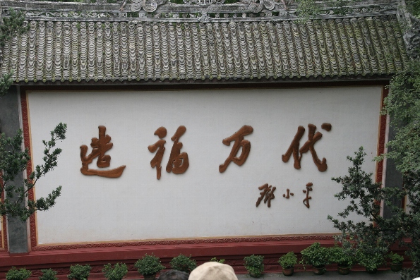 ȏ莚