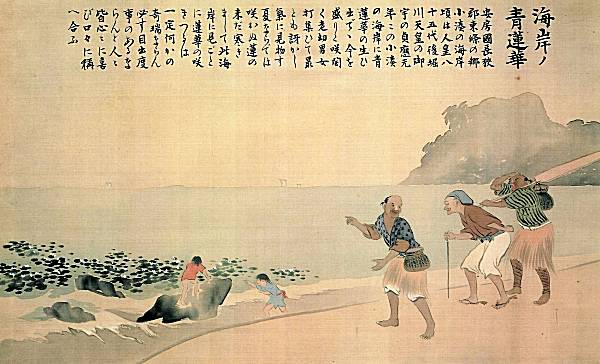 Pure Blue Lotus (47Kb)