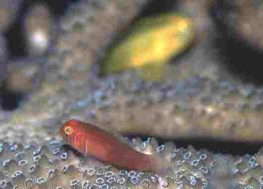 ���ۻݺ�ʾ��