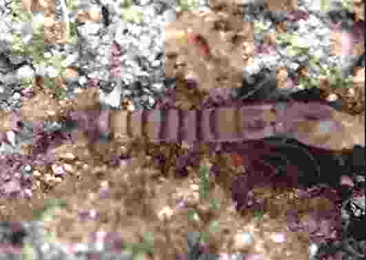 ���ϵ�غï�߳���