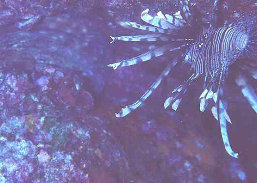 �ɶ�����