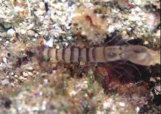 ���ϵ�غï�߳���