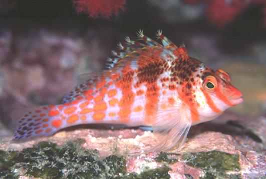 �׻�����