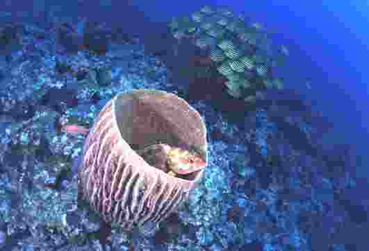 ����&����