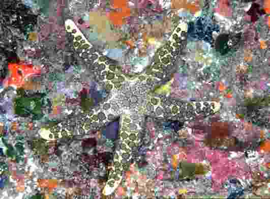 ��޷�������