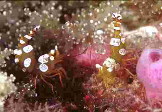 ��������Ӵ��