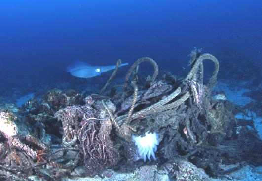 ��ز�&�Ϻ�