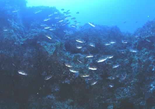 �ؾ�������