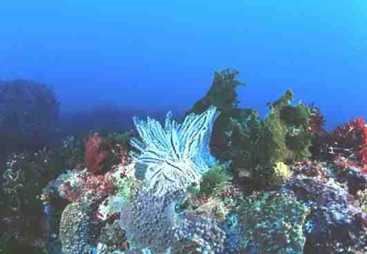 �м��Ķ���