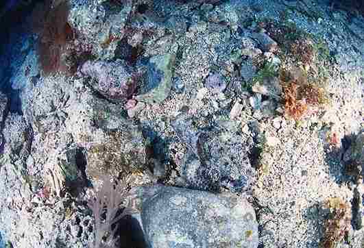 �Ѽ�����߱