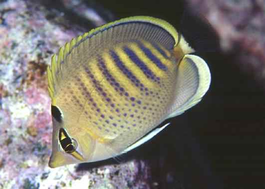 ������������