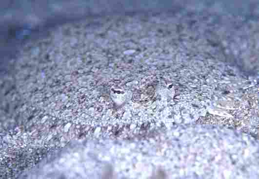 �����϶�ڲ