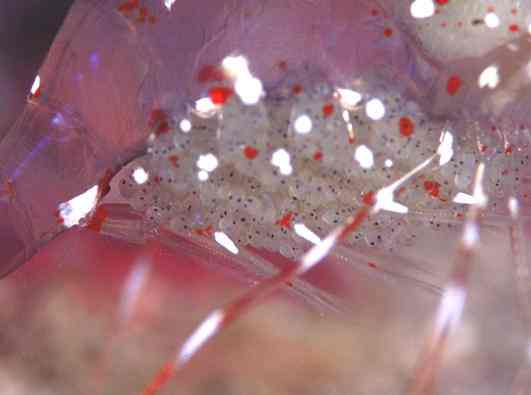 �ر�ذŰ�Ϻ�