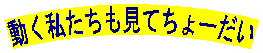pet2002-2_1