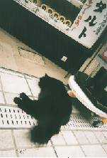 �ό��q���C�ɂ����X���X��