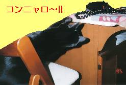 ���܂邩!? �N�������̍��t�b�N