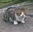 �m�[����