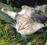 �����}�}