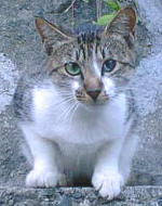 �|�R�����Z