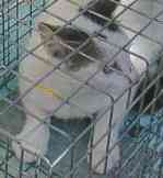 �|�R�����}�}