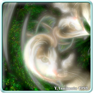 �~�X�e���A�X�L���b�g