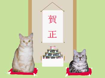 �����܂��Ă��߂łƂɂ��