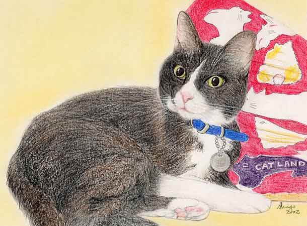 �ё����`���Ă��������܂�����