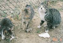 �����ƁA���傤����!!