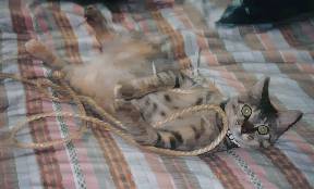 �����Ƃ����ƗV�т����j����!!