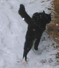 ��������炢�w�b�`�������