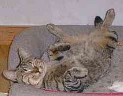 �ق���`��