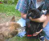 �ڂ͍��킳�Ȃ��̂����[��