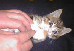 �m�������ł���