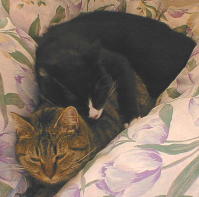 �C�����ǂ����B�B�B